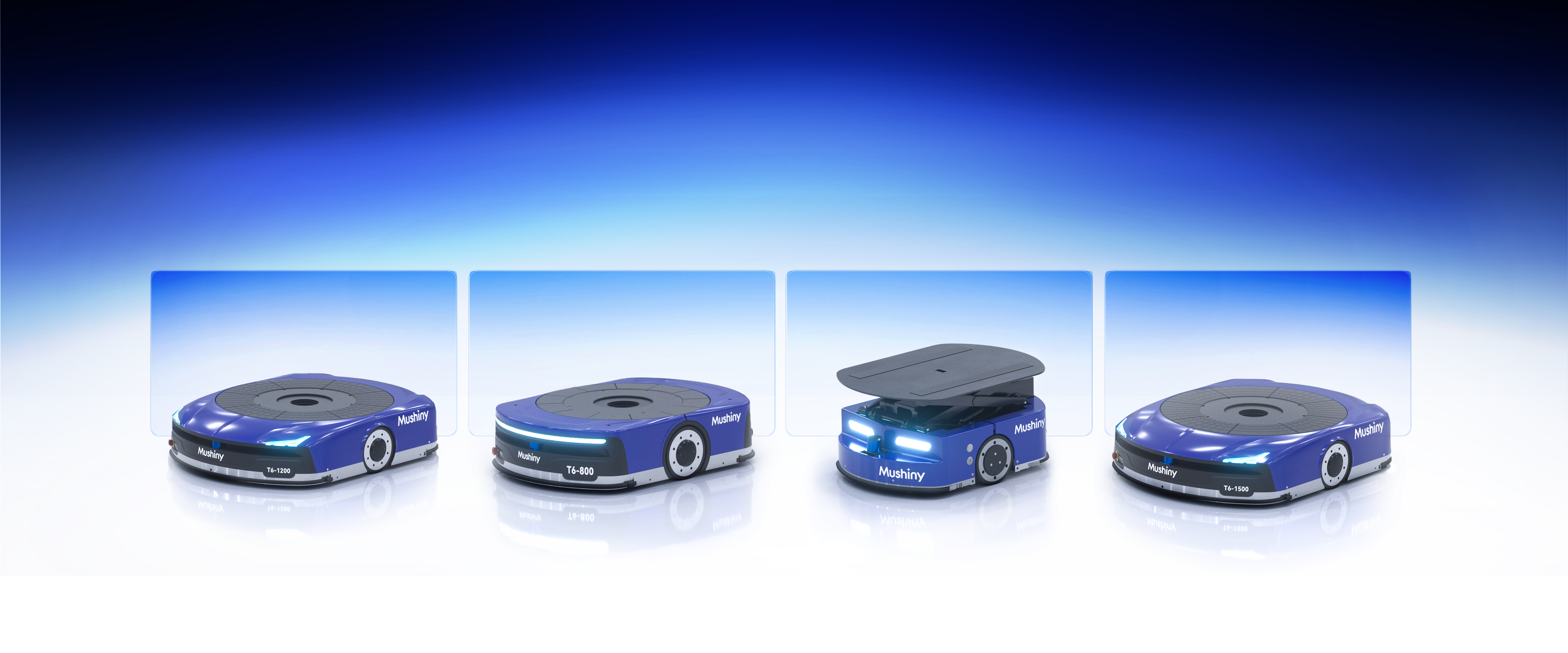 标准品AMR